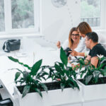 Büropflanzen vor Mitarbeiter im Büro