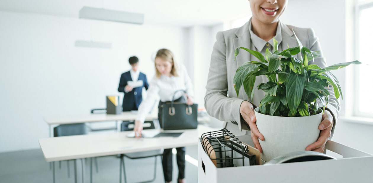 Frau stellt Pflanze im Büro ab auf einem Tisch